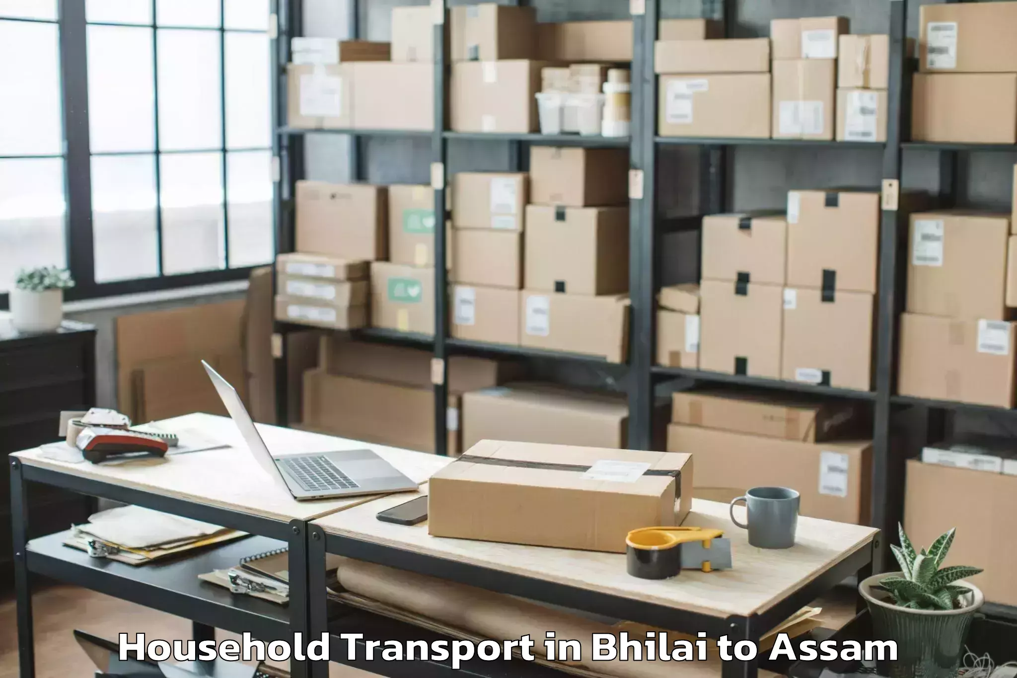 Hassle-Free Bhilai to Boko Household Transport